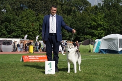 Colt Międzynarodowa Wrocław 29.09.2024